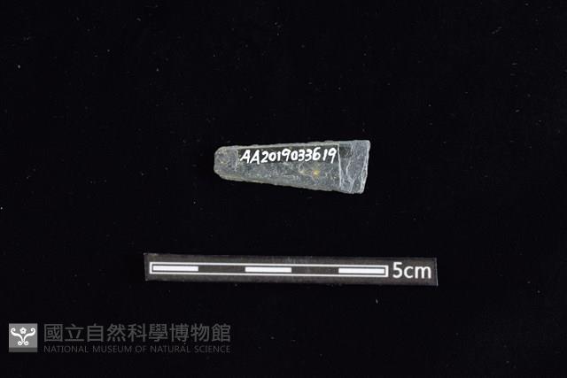 Accession Number:AA2019033619 Collection Image, Figure 2, Total 2 Figures