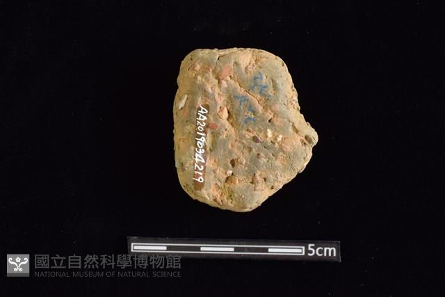 陶片藏品圖，第2張