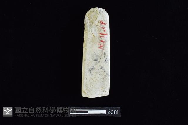錛鑿形器藏品圖，第2張