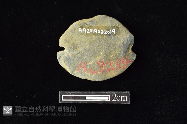 網墜藏品圖，第2張