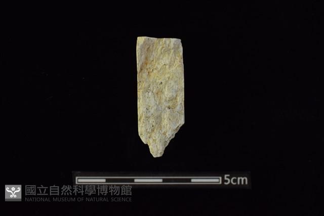 錛鑿形器藏品圖，第2張