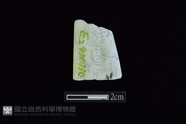 錛鑿形器藏品圖，第2張