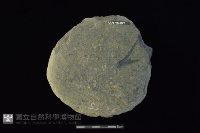 石圓片藏品圖，第2張