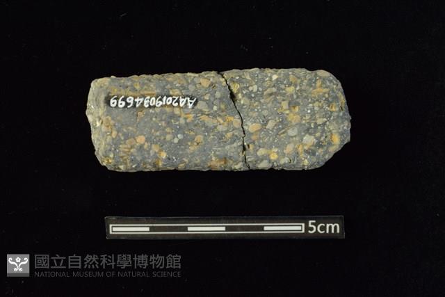 陶片藏品圖，第2張