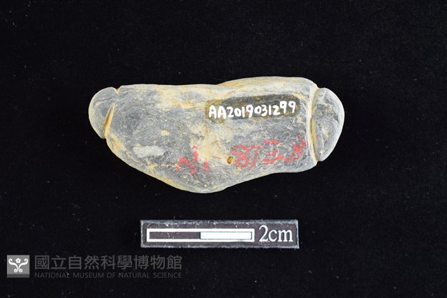 網墜藏品圖，第2張