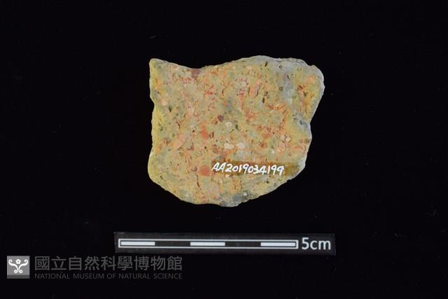 陶片藏品圖，第2張