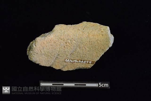 陶罐藏品圖，第2張