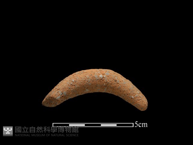 陶把藏品圖，第1張