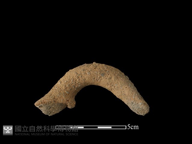 陶把藏品圖，第1張
