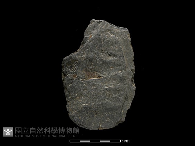 斧鋤形器藏品圖，第2張