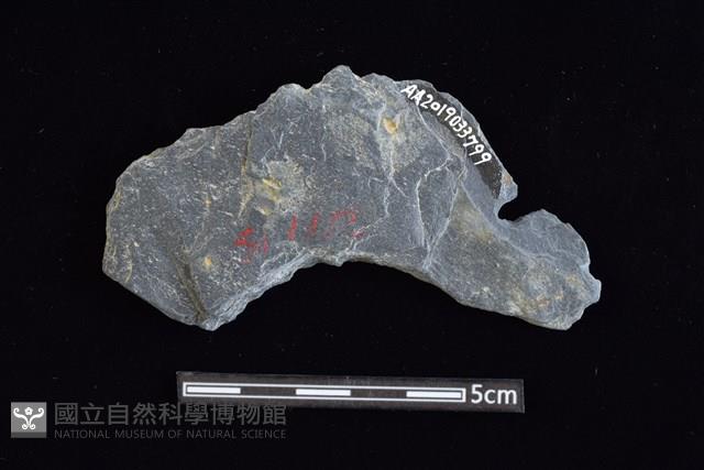 穿孔石板藏品圖，第2張