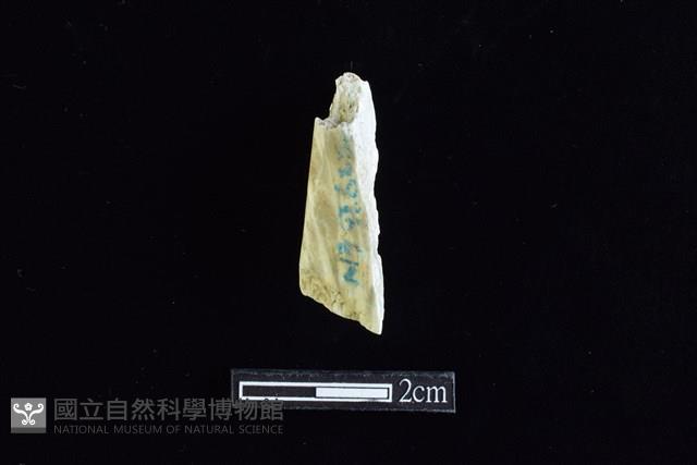 錛鑿形器藏品圖，第2張