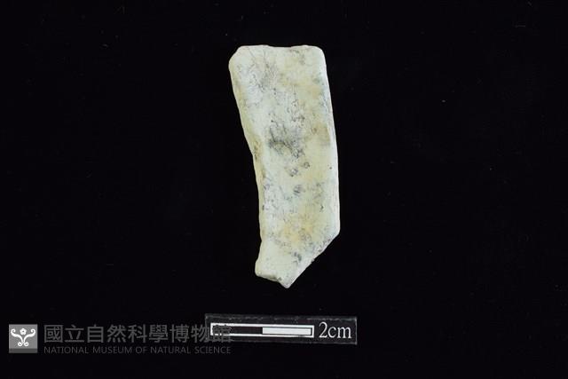玉環藏品圖，第2張