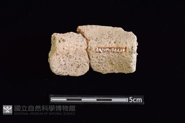 陶罐藏品圖，第2張