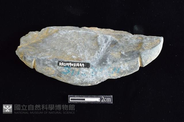 網墜藏品圖，第2張