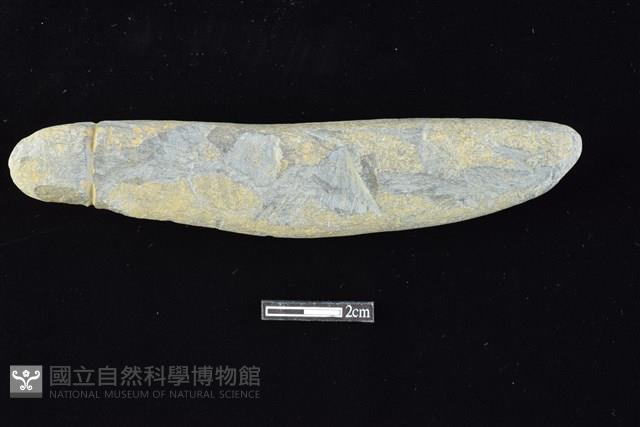 網墜藏品圖，第1張