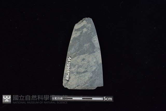 矛鏃形器藏品圖，第2張