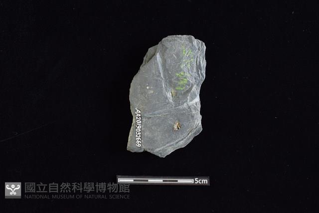 戈形器藏品圖，第2張