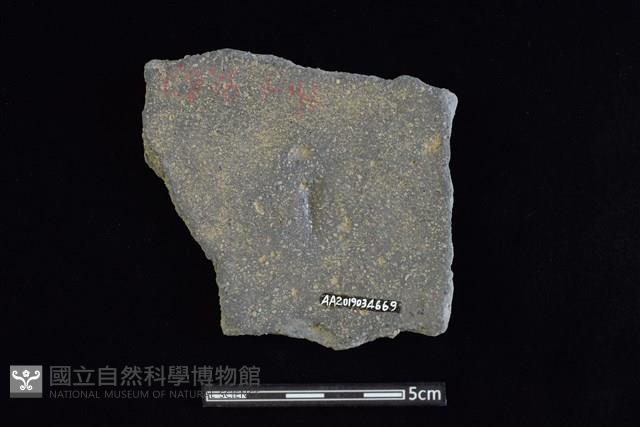 陶片藏品圖，第2張