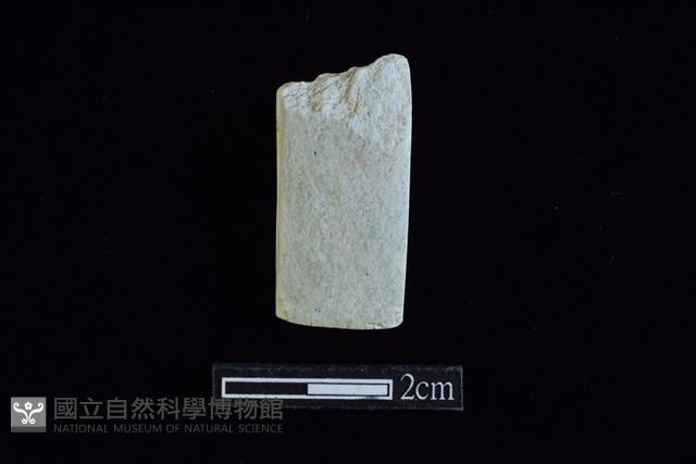 錛鑿形器藏品圖，第2張