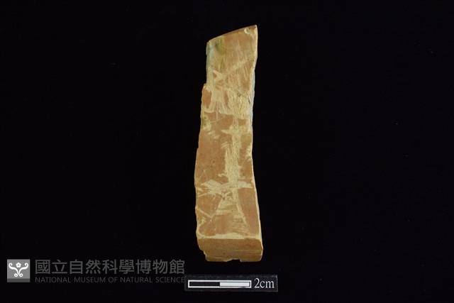 錛鑿形器藏品圖，第1張