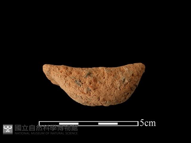 陶耳藏品圖，第1張