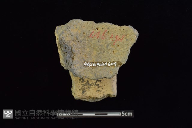 陶缽藏品圖，第2張