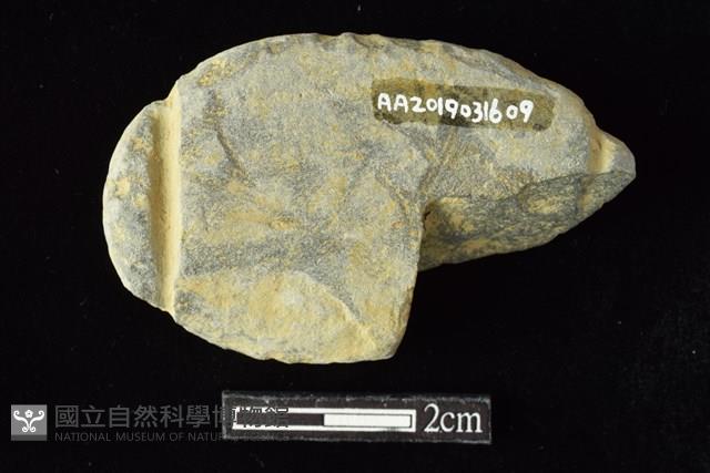 網墜藏品圖，第2張