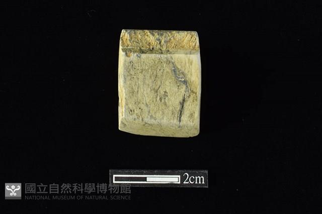 錛鑿形器藏品圖，第1張