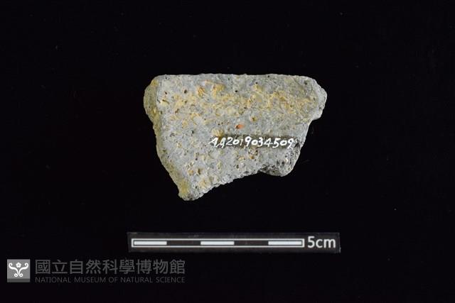 陶片藏品圖，第2張