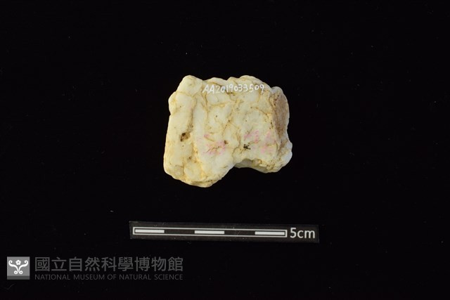 石材藏品圖，第2張