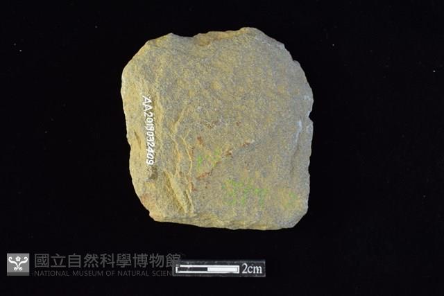 斧鋤形器藏品圖，第2張