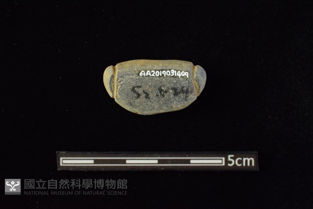 網墜藏品圖，第2張