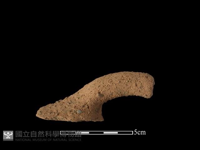 陶把藏品圖，第1張