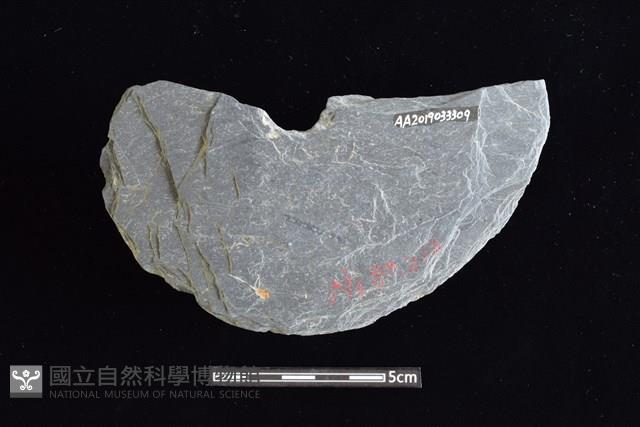 穿孔石板藏品圖，第2張