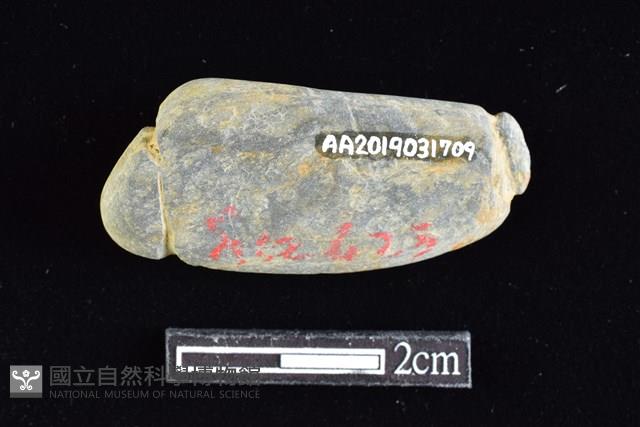 網墜藏品圖，第2張