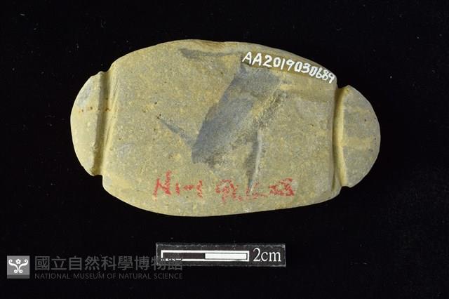 網墜藏品圖，第2張