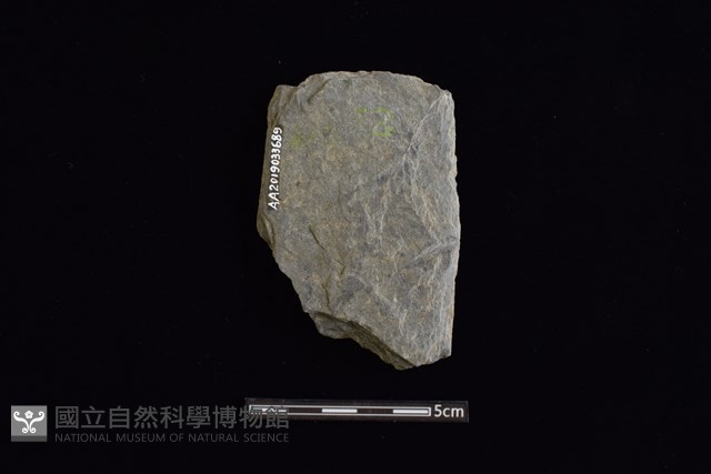 石器殘件藏品圖，第2張