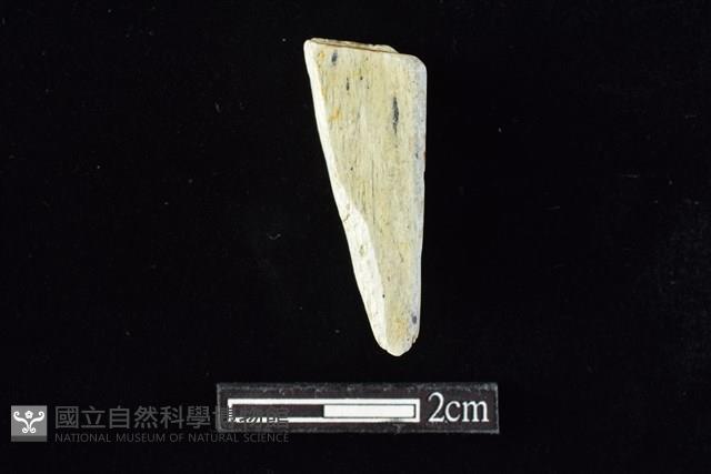 錛鑿形器藏品圖，第2張