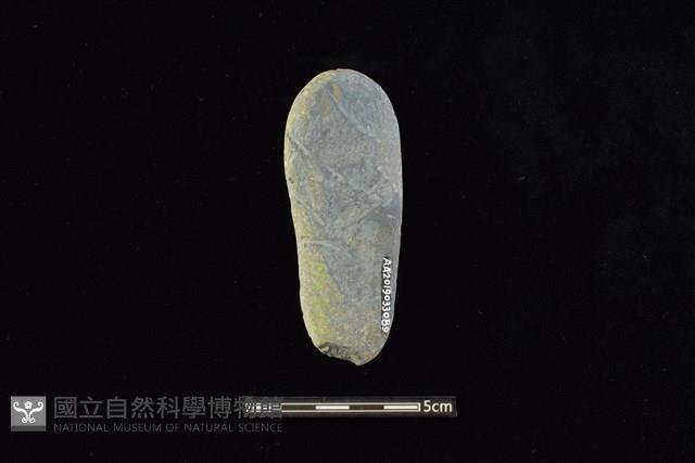 石鎚藏品圖，第2張