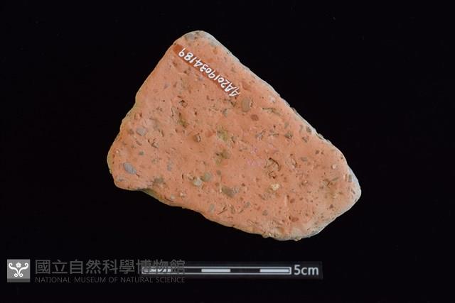 陶片藏品圖，第2張