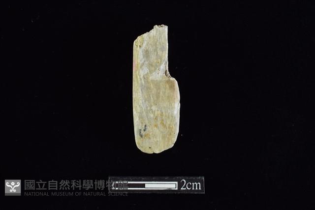 錛鑿形器藏品圖，第1張