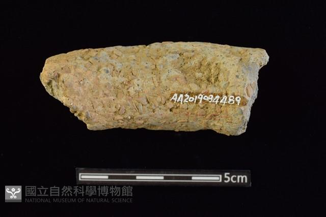 陶罐藏品圖，第2張