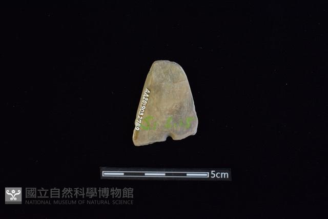 矛鏃形器藏品圖，第2張