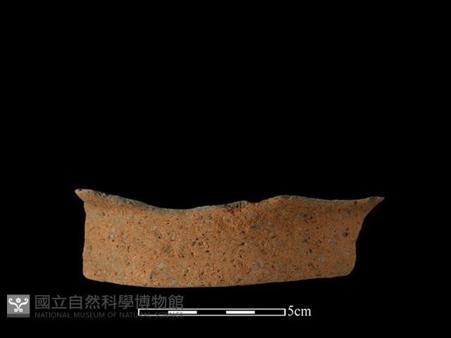 陶片藏品圖，第2張