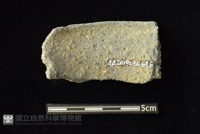 陶容器藏品圖，第2張