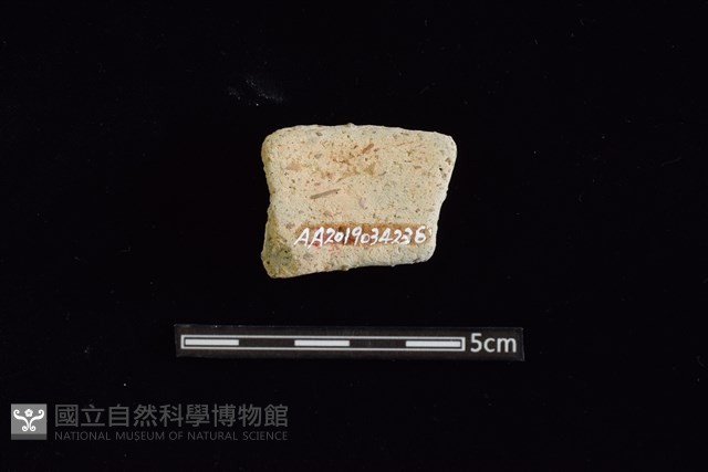 陶罐藏品圖，第2張