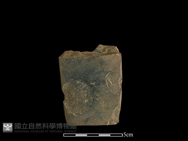 磨製斧鋤形器藏品圖，第2張