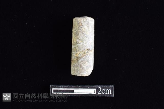 錛鑿形器藏品圖，第1張