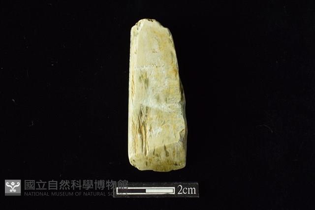 錛鑿形器藏品圖，第1張